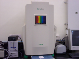 Proteomics Workstation